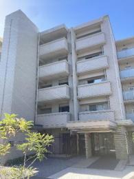 nOώʐ^@ː24 K̓}Vł