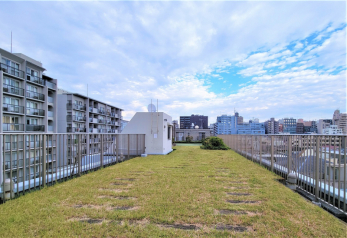 ̑p@뉀p^[St̗KXy[X܂