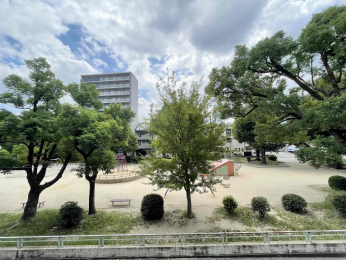Z˂̒]ʐ^@-