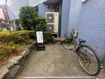 ̑p@֏