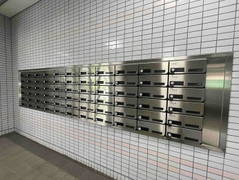 ̑p@[{bNX