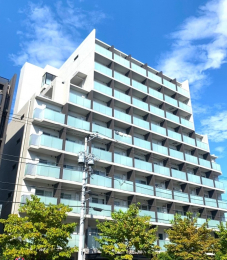 ���n�O�ώʐ^�@�ڂ������������ȊO�ρI