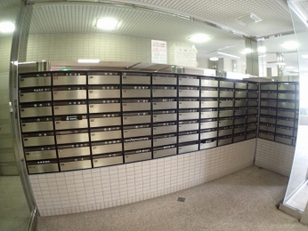 ̑p@[BOX