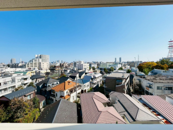 �Z�˂���̒��]�ʐ^�@-