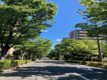 ���̑����n�@-