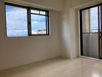 ���r���O�ȊO�̋����@-