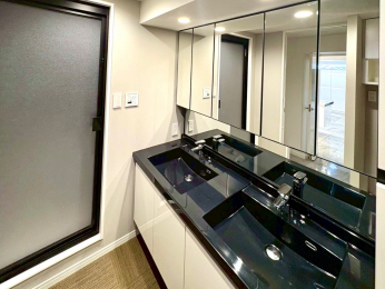 ʑEʏ@ʉϑ͊2{EIA̖ZłƑœɎgpł܂B傫A[gǍD