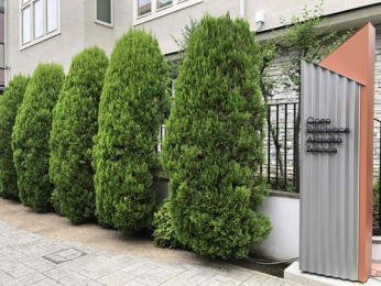 �G���g�����X�@���肳�ꂽ�A�͂���ۓI�ȃG���g�����X����