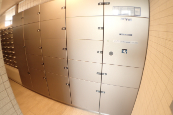 ̑p@z{bNXł̂ŕsݎ̂ו̎󂯎Sł