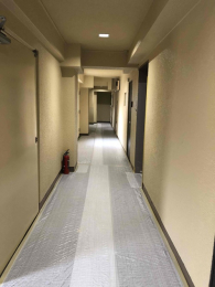 ̑p@LȂ̂ŉJ̓⊦łK