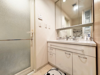 ʑEʏ@X^CbVȃfUC̐ʉϑYɂgĂ܂