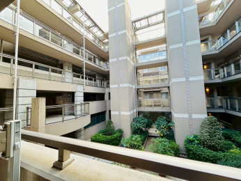 �Z�˂���̒��]�ʐ^�@-