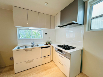 Lb`@gǍDȂk^̃VXeLb`H@E򐅊튮Ă܂I