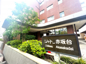 ���n�O�ώʐ^�@�u���E���̏d��������O�ρB���g���ȊŔ���ۓI