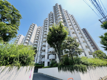 nOώʐ^@ː166ˁAn14KẴ}VłB