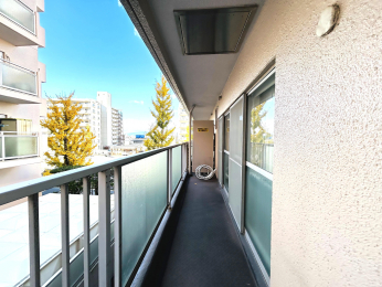 �o���R�j�[�@�쐼�����o���R�j�[