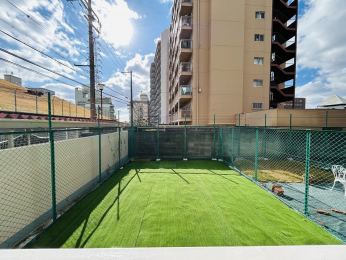 �Z�˂���̒��]�ʐ^�@������o���R�j�[����̒��]