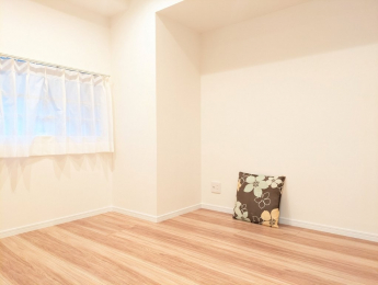 ���r���O�ȊO�̋����@-