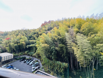 �Z�˂���̒��]�ʐ^�@�o���R�j�[����̒��]