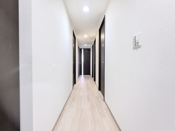 ̑ρ@SĐVĂ܂̂łƂĂLCł