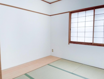 ���r���O�ȊO�̋����@���a��