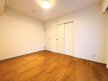 ���r���O�ȊO�̋����@-