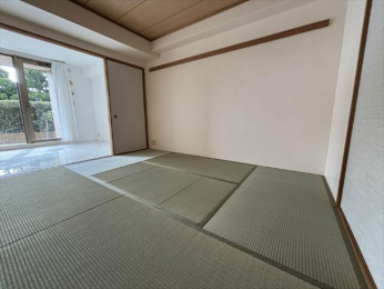 ���r���O�ȊO�̋����@���a���i�@��������j