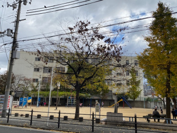 ���ӊ��@-