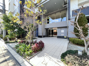 ���n�O�ώʐ^�@�i�������O��