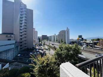 �Z�˂���̒��]�ʐ^�@�쐼�����o���R�j�[����̒��]