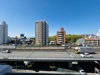 �Z�˂���̒��]�ʐ^�@�������o���R�j�[����̒��]