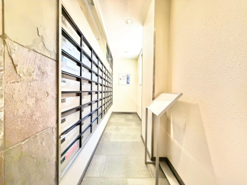 ���̑����p���@���p���E�W���|�X�g