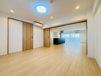 ���r���O�ȊO�̋����@-