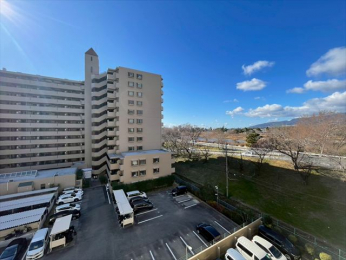 �Z�˂���̒��]�ʐ^�@-