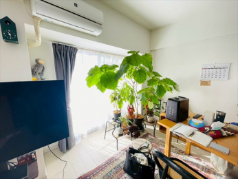 ���r���O�@-