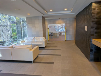 ���r�[�@��1�K���r�[���� ���}�ȗ��q���ɂ����p���������܂�