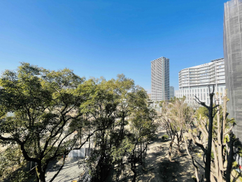 �Z�˂���̒��]�ʐ^�@-