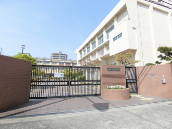 ���ӊ��@�Z�V�]���w�Z�܂Ŗ�556��