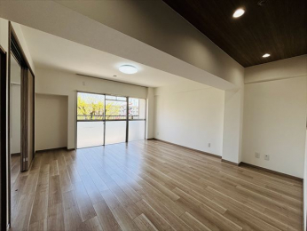 ���r���O�ȊO�̋����@-