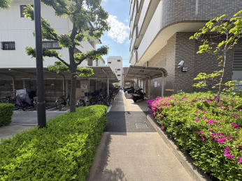 ���̑����p���@-