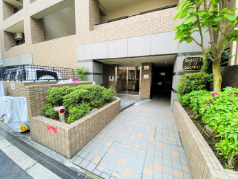 �G���g�����X�@-