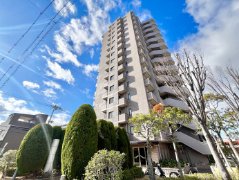 ���n�O�ώʐ^�@���ː�56�˂̃}���V�����ł���