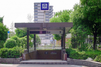 ���ӊ��@�J�����u�o�ˁv�w�܂œk����11��