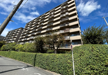 ���n�O�ώʐ^�@�k���}�s���u�Βn�����v�w�k��1���̍D���n�I