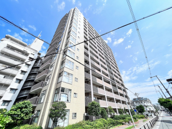 ���n�O�ώʐ^�@�쓌�p�����ɕt���A��������ǍD�ł���