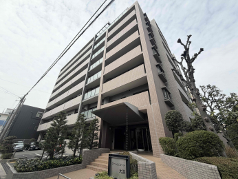 ���n�O�ώʐ^�@1996�N12�����z�̕����}���V�����ł���