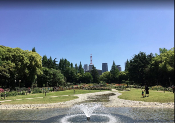 ���ӊ��@-