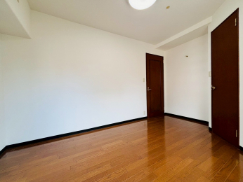 ���r���O�ȊO�̋����@-