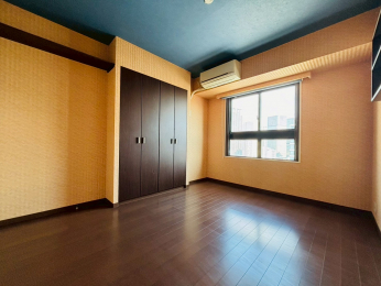 ���r���O�ȊO�̋����@-