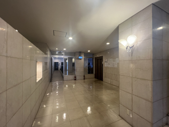 ���̑����p���@-